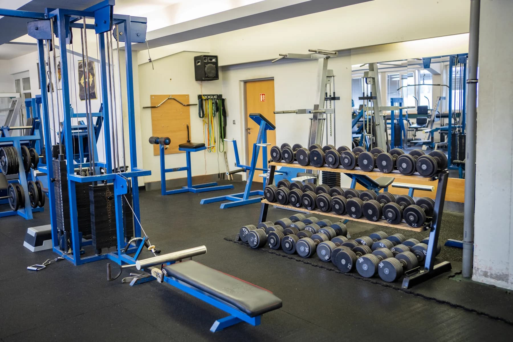 lions-fitness-gym_01