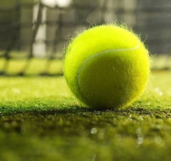 Tenis