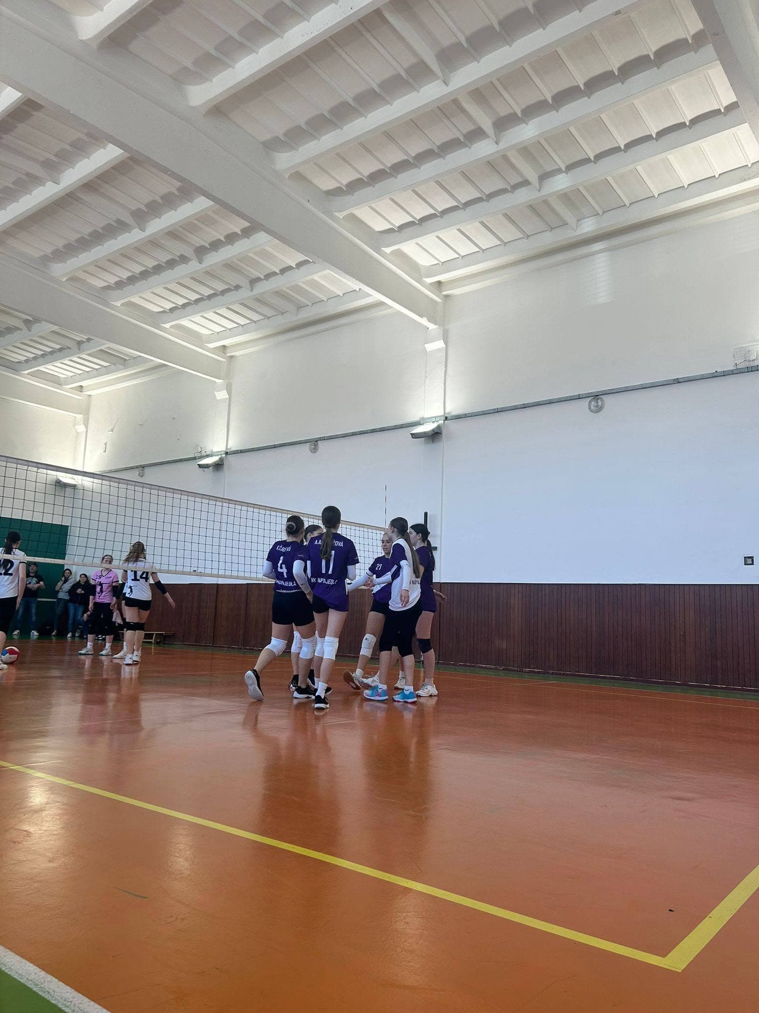 volejbal_02